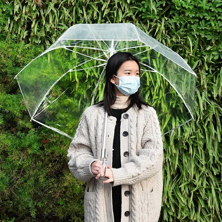 Dome Bubble Transparent Clear Umbrella 25 Inch 1