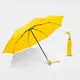 Collapsible Umbrella Within 35 Workdays by Blueprint Umbrella 11