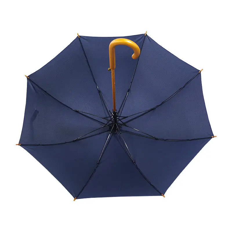 Walking Umbrella Available for Specifications and Quantities by Blueprint Umbrella 4