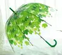 Clear Umbrellas Bulk Available for Specifications and Quantities - - Blueprint Umbrella 6