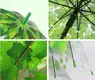 Clear Umbrellas Bulk Available for Specifications and Quantities - - Blueprint Umbrella 7