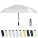 Best Mini Umbrella Cash by Blueprint Umbrella 3