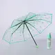 Clear Bubble Umbrella Bulk Available - - Blueprint Umbrella 5