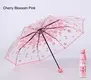 Clear Bubble Umbrella Bulk Available - - Blueprint Umbrella 3