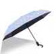 Foldable Umbrella Western Union by Blueprint Umbrella 4