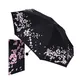 Foldable Umbrella Western Union by Blueprint Umbrella 3