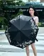 Foldable Umbrella Western Union by Blueprint Umbrella 6