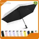 Best Mini Umbrella Cash by Blueprint Umbrella 1