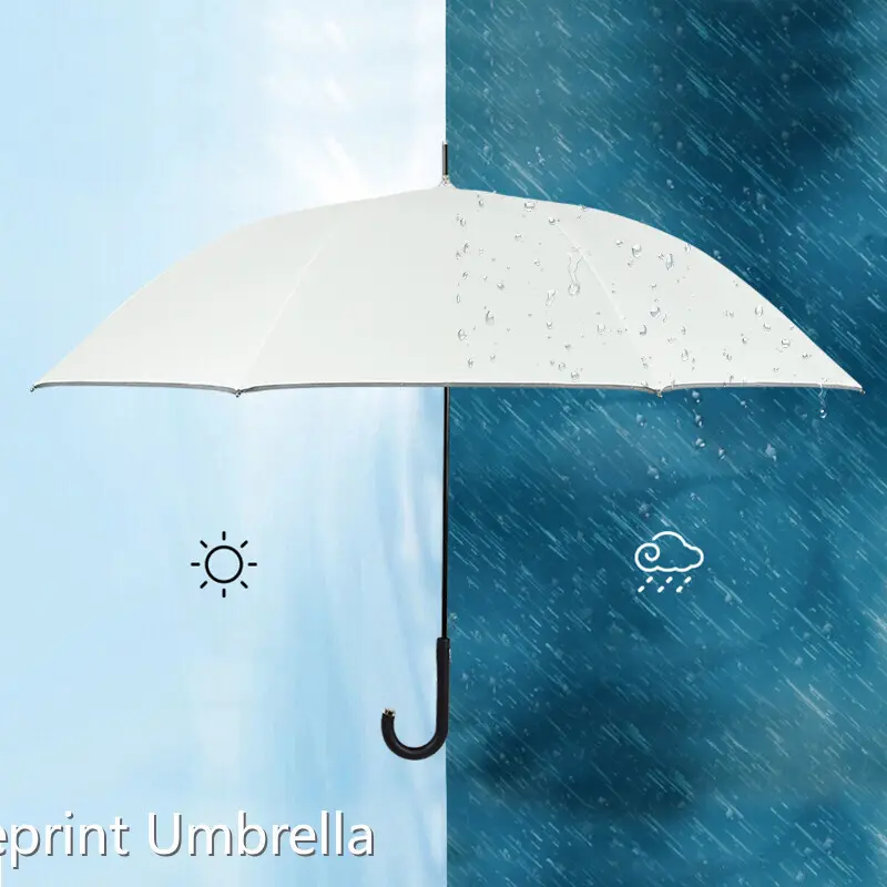 Umbrellas Supplier Available for Specifications and Quantities - - Blueprint Umbrella 1