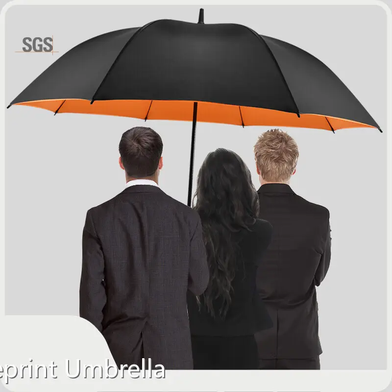 Umbrella Manufacturing Company Within 35 Workdays - - Blueprint Umbrella 1