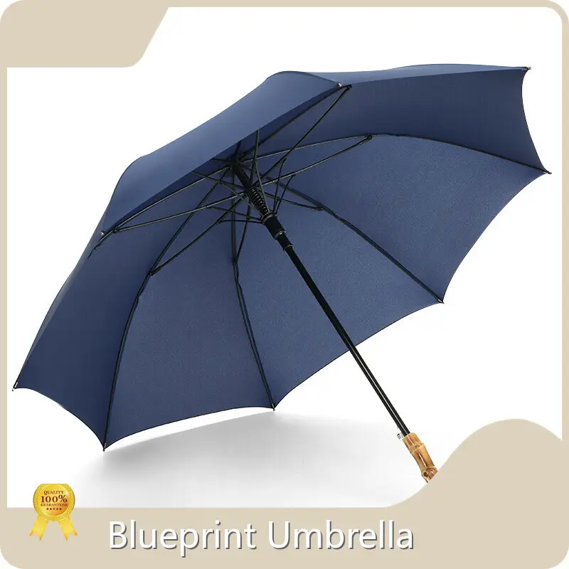 Walking Stick Umbrella Within 35 Workdays by Blueprint Umbrella 1