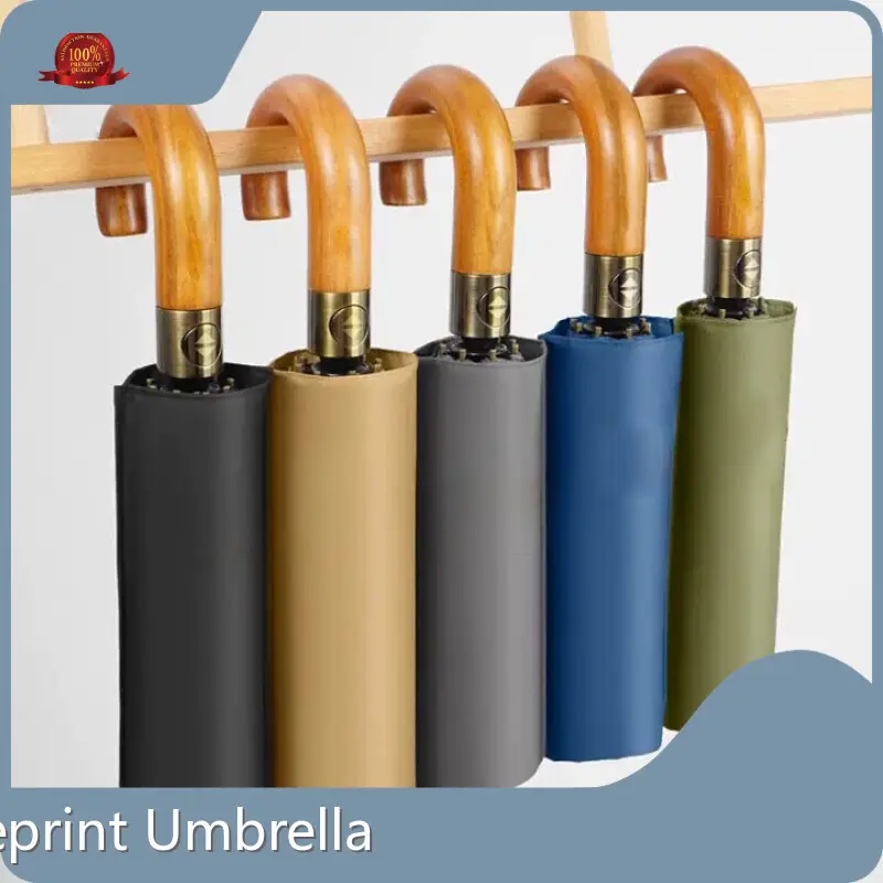 Wholesale Folding Umbrellas T/T - - Blueprint Umbrella 1