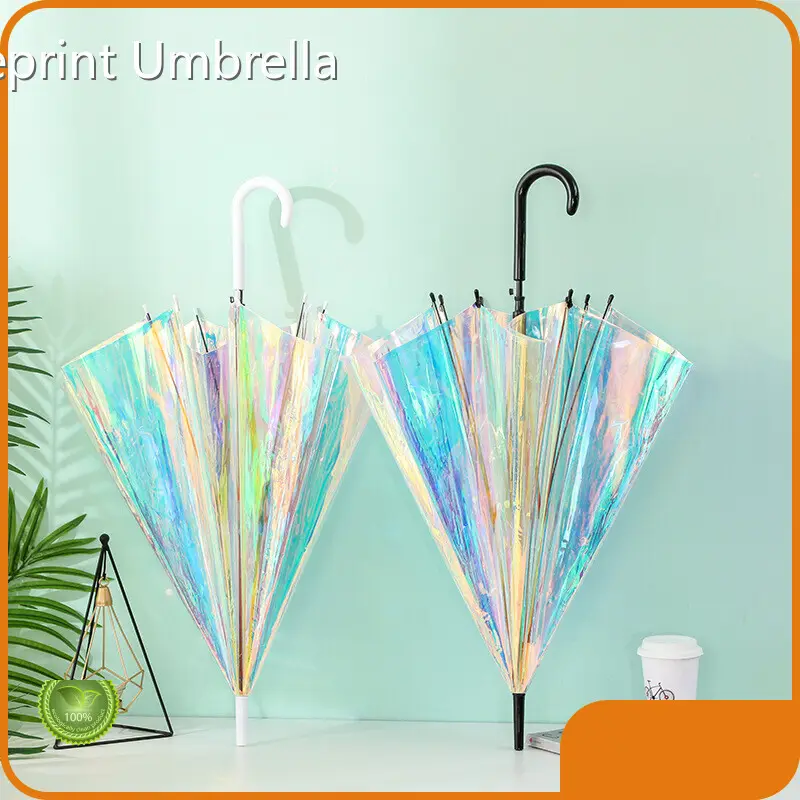 Clear Umbrellas Available by Blueprint Umbrella 1