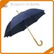 Walking Umbrella Available for Specifications and Quantities by Blueprint Umbrella 1