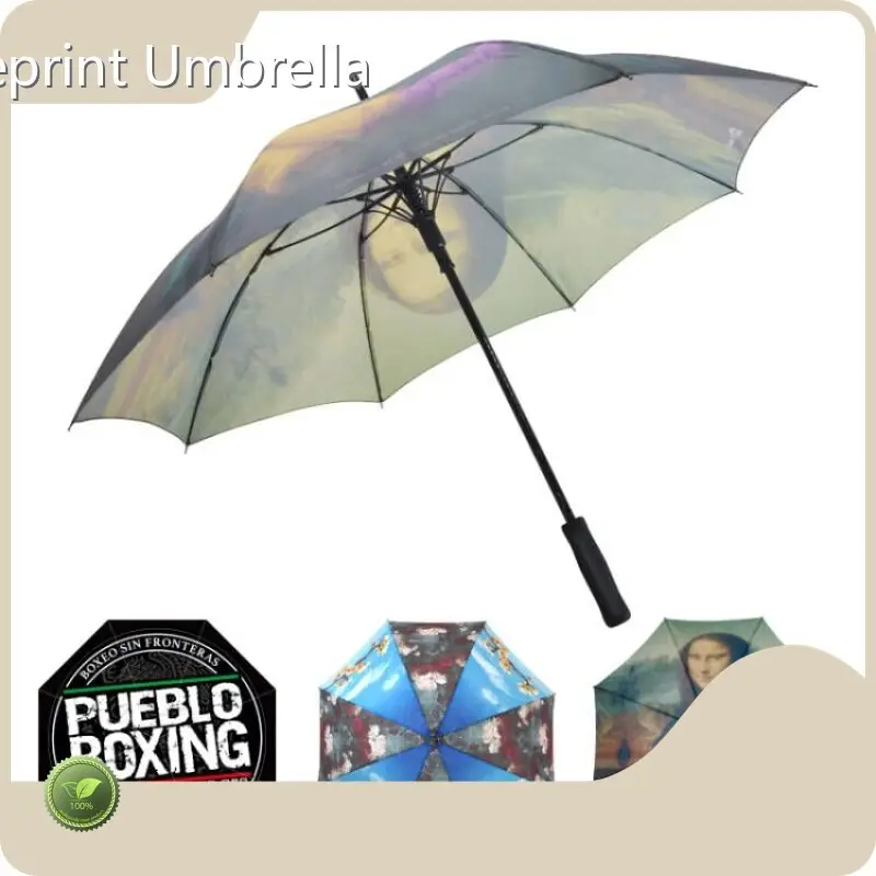 Walking Umbrella Within 35 Workdays Wholesale - Blueprint Umbrella 1