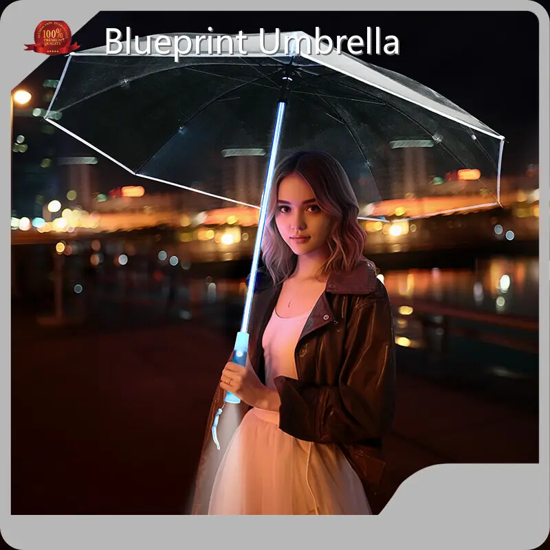Transparent Dome Umbrella L/C Wholesale - Blueprint Umbrella 1