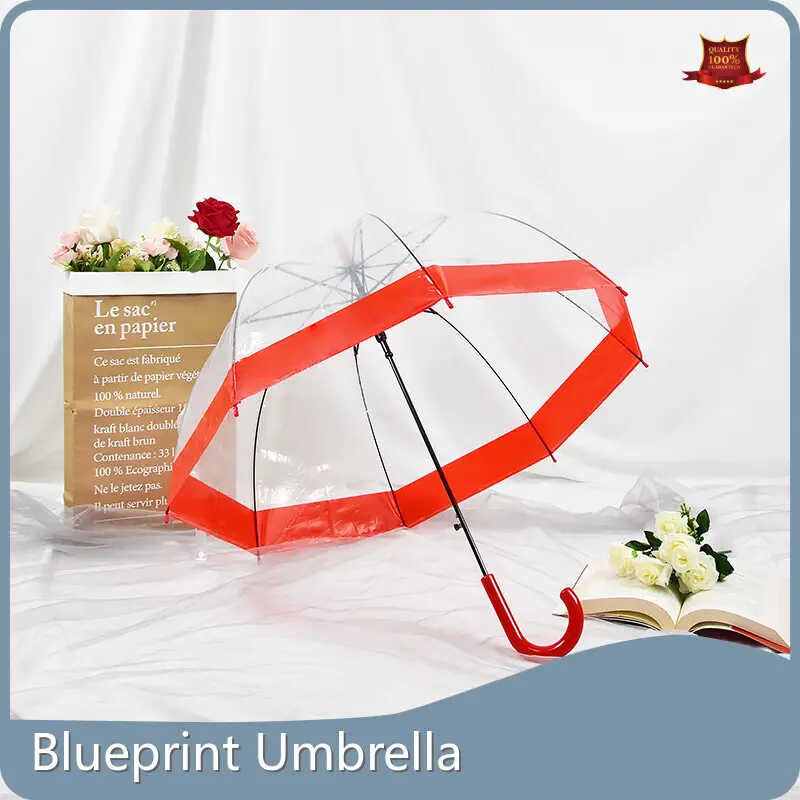 Clear Umbrellas Bulk Within 35 Workdays Wholesale - Blueprint Umbrella 1