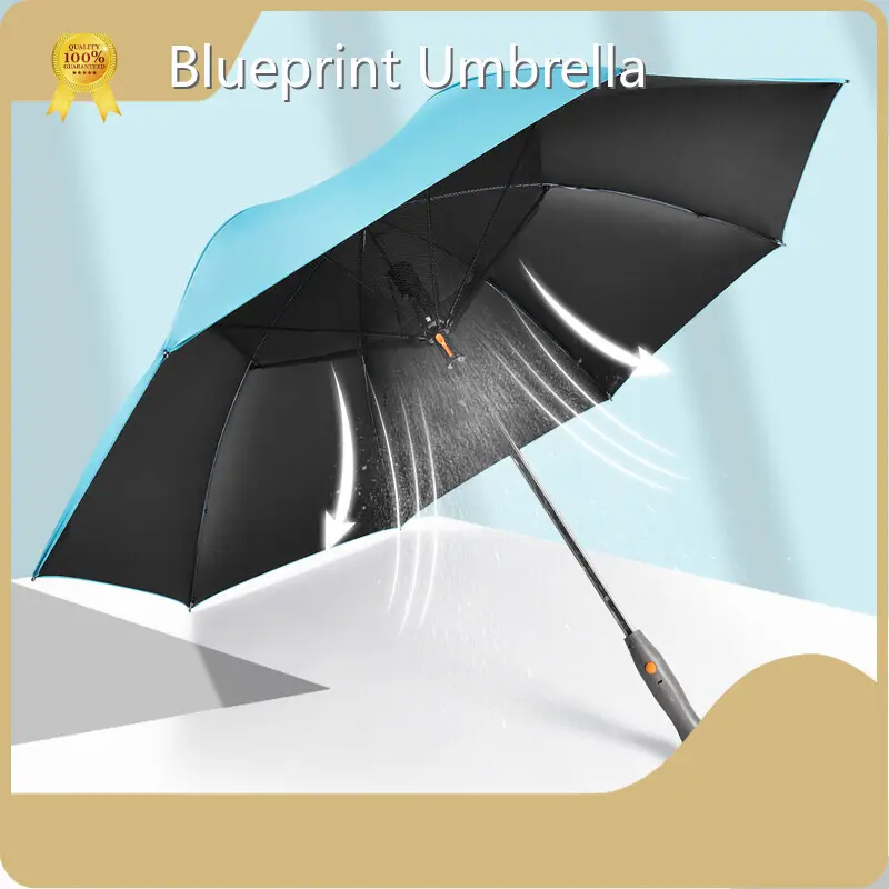 Best Double Canopy Umbrella Within 35 Workdays - - Blueprint Umbrella 1