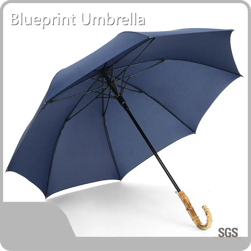 Walking Cane Umbrella Available for Specifications and Quantities - - Blueprint Umbrella 1