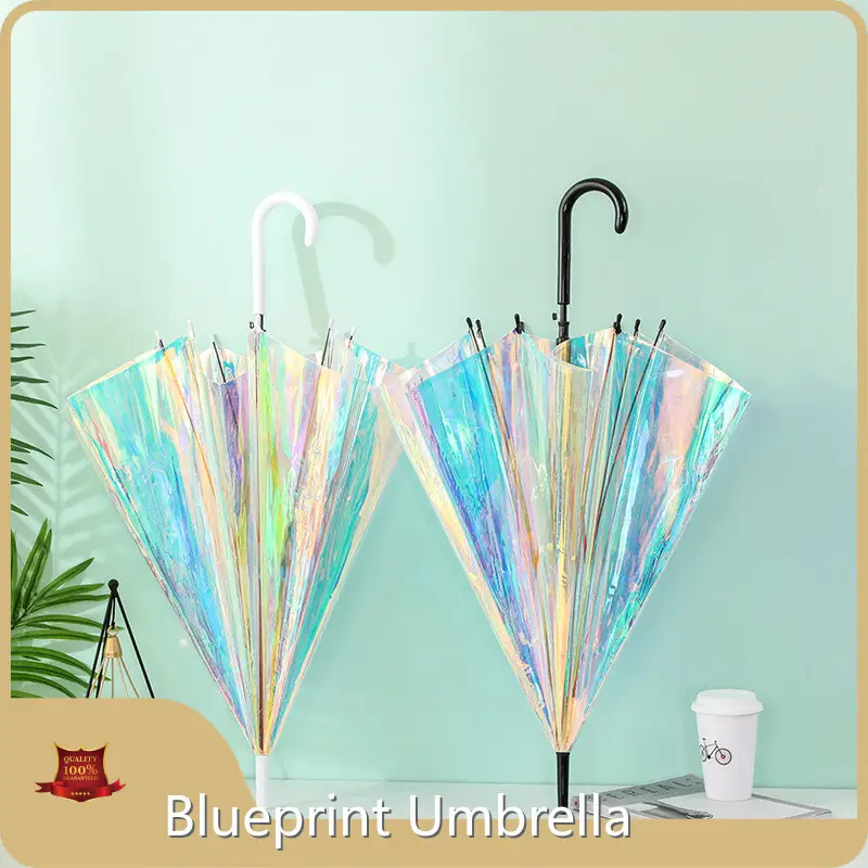 Transparent Dome Umbrella Available for Specifications and Quantities Wholesale - Blueprint Umbrella 1