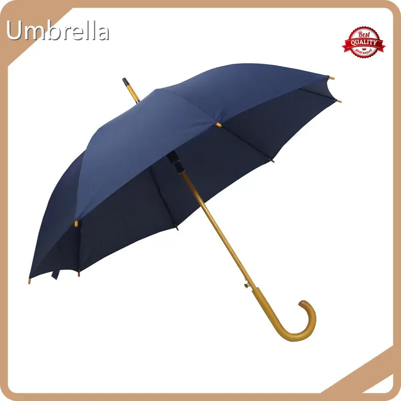 Umbrellas Supplier Available Wholesale - Blueprint Umbrella 1