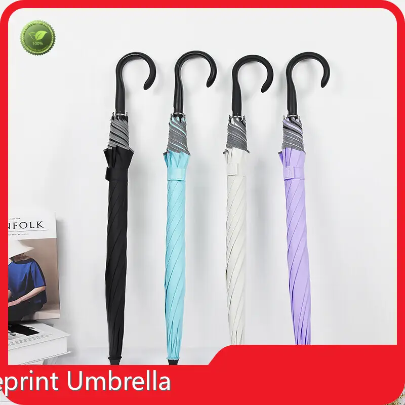 Classic Stick Umbrella Available Wholesale - Blueprint Umbrella 1