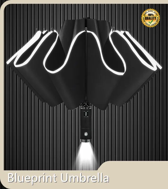 Lightweight Compact Umbrella Available by Blueprint Umbrella 1
