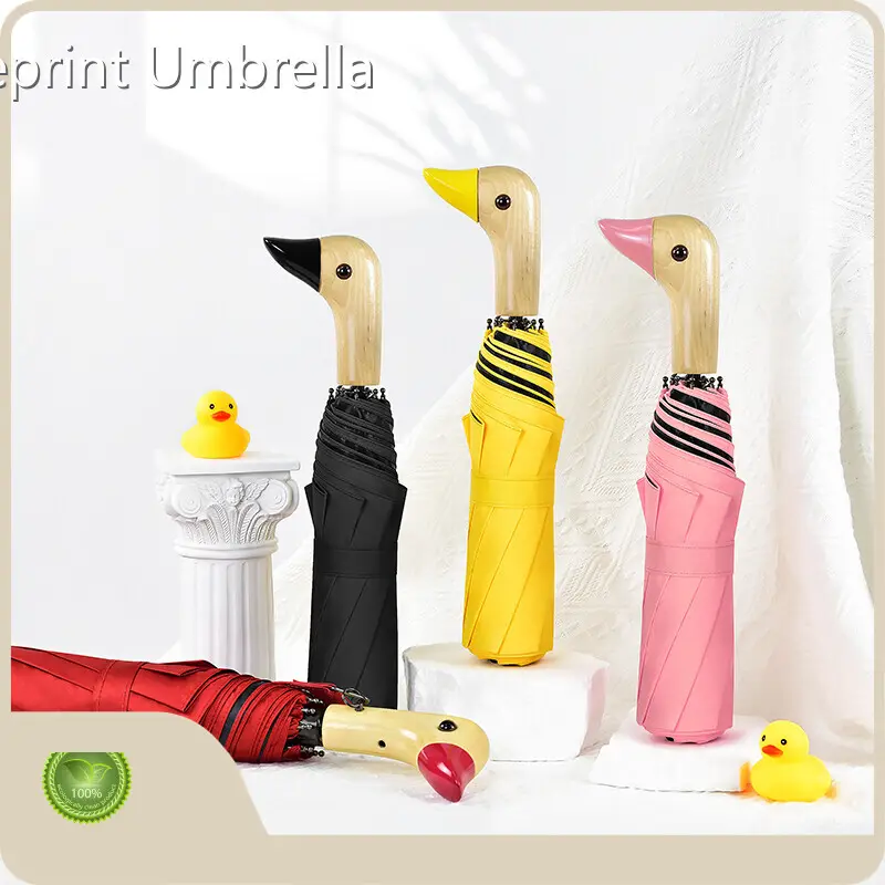 Collapsible Umbrella Within 35 Workdays by Blueprint Umbrella 1