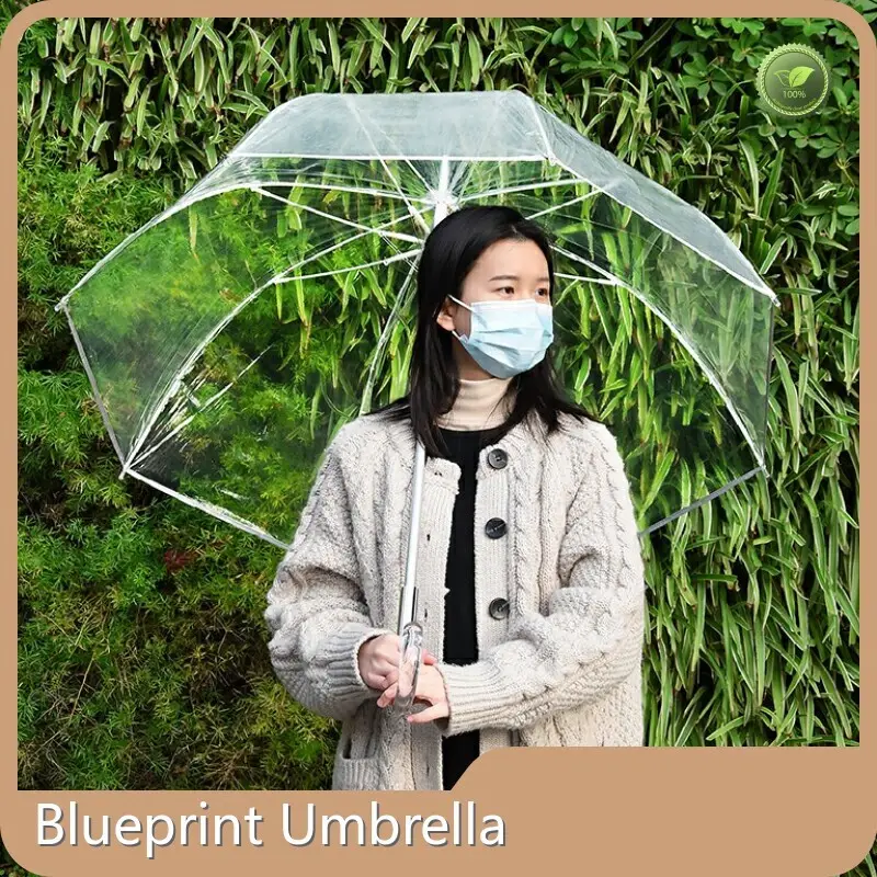 Transparent Umbrella Within 35 Workdays by Blueprint Umbrella 1