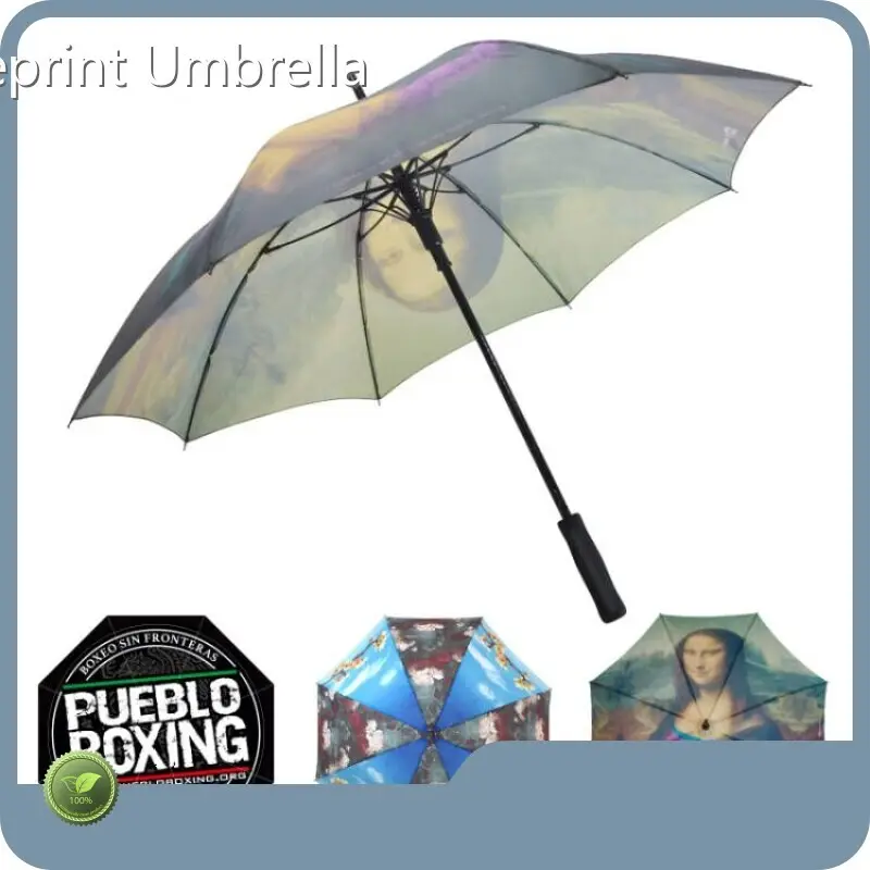 Long Stick Umbrella Available by Blueprint Umbrella 1