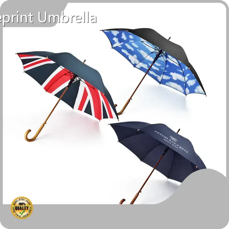 Classic Stick Umbrella T/T by Blueprint Umbrella 1