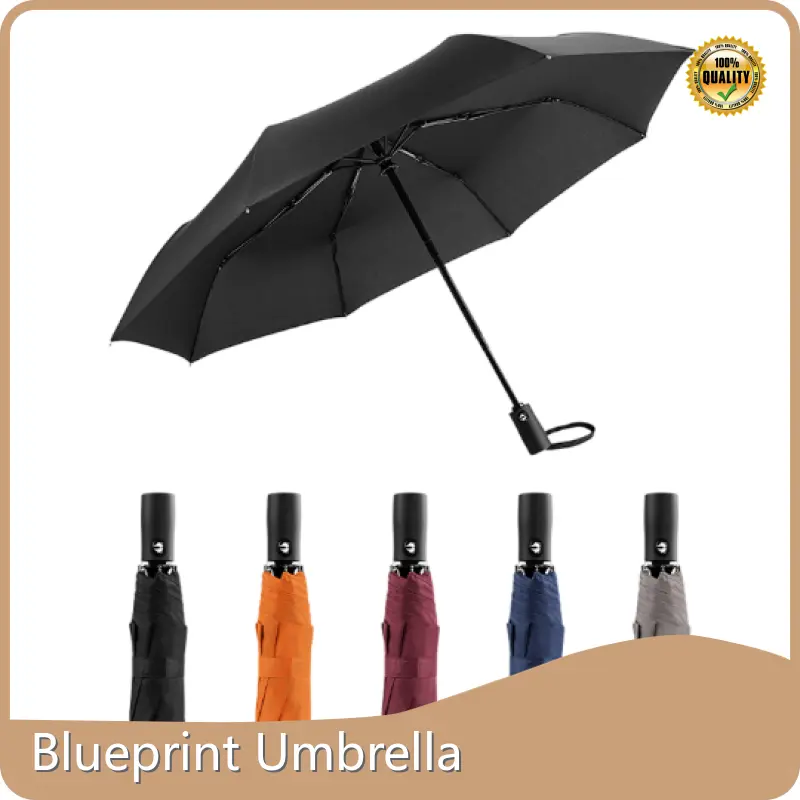 Compact Umbrella Cash by Blueprint Umbrella 1