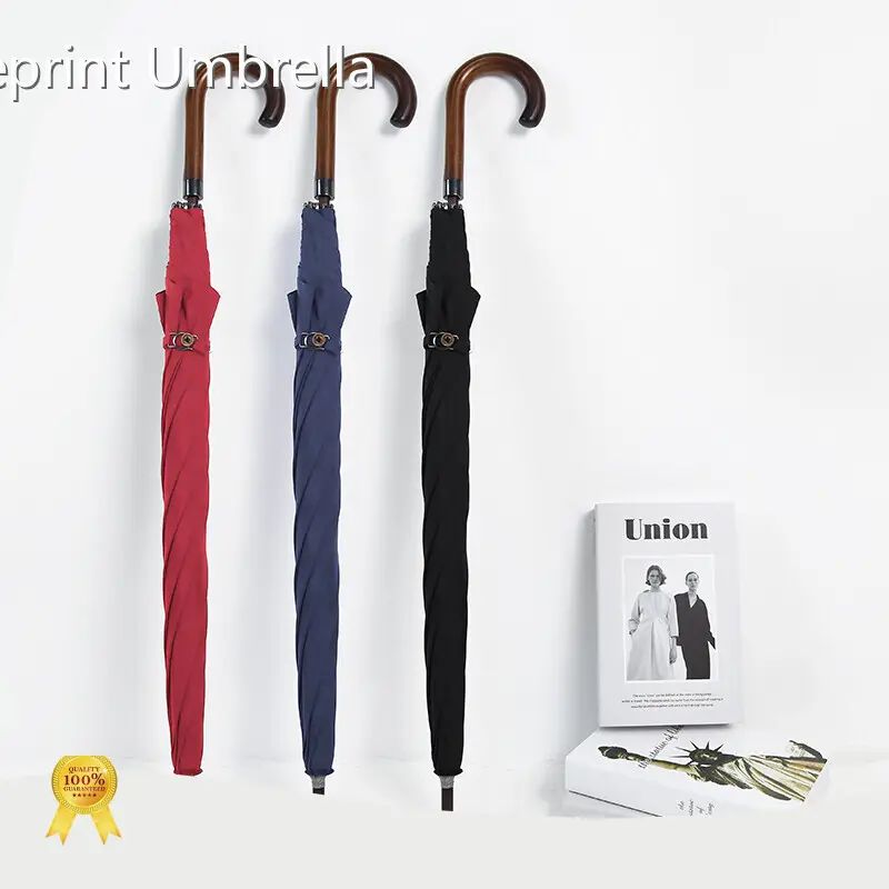 Walking Umbrella Within 35 Workdays by Blueprint Umbrella 1