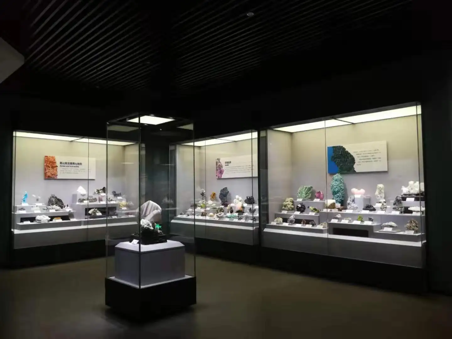 Exploring The Past: Museum Displays That Tell A Story 1