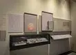 LUXE Showcases Glass Showcase for Shop Custom Museum Display Cases Glass Showcase for ShopSupply 4