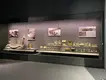 Suppliers Store Fixture Showcase 5