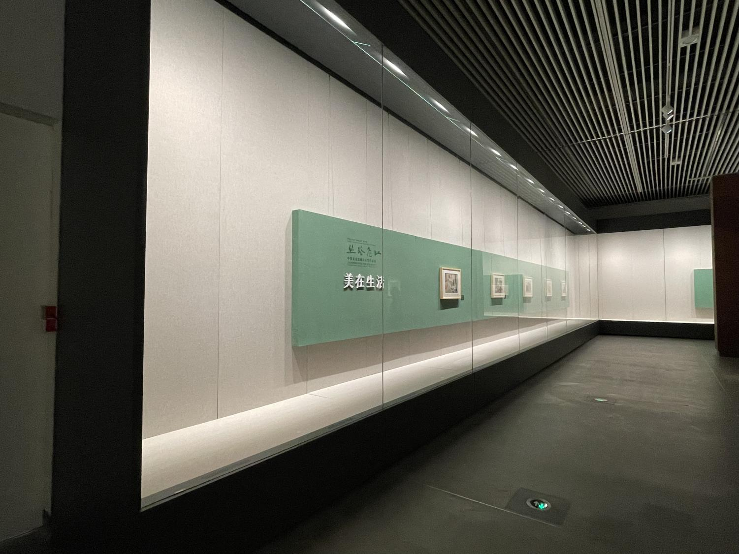 Gabinete de pared completo con diseño de escaparate de museo con vista personalizado 3