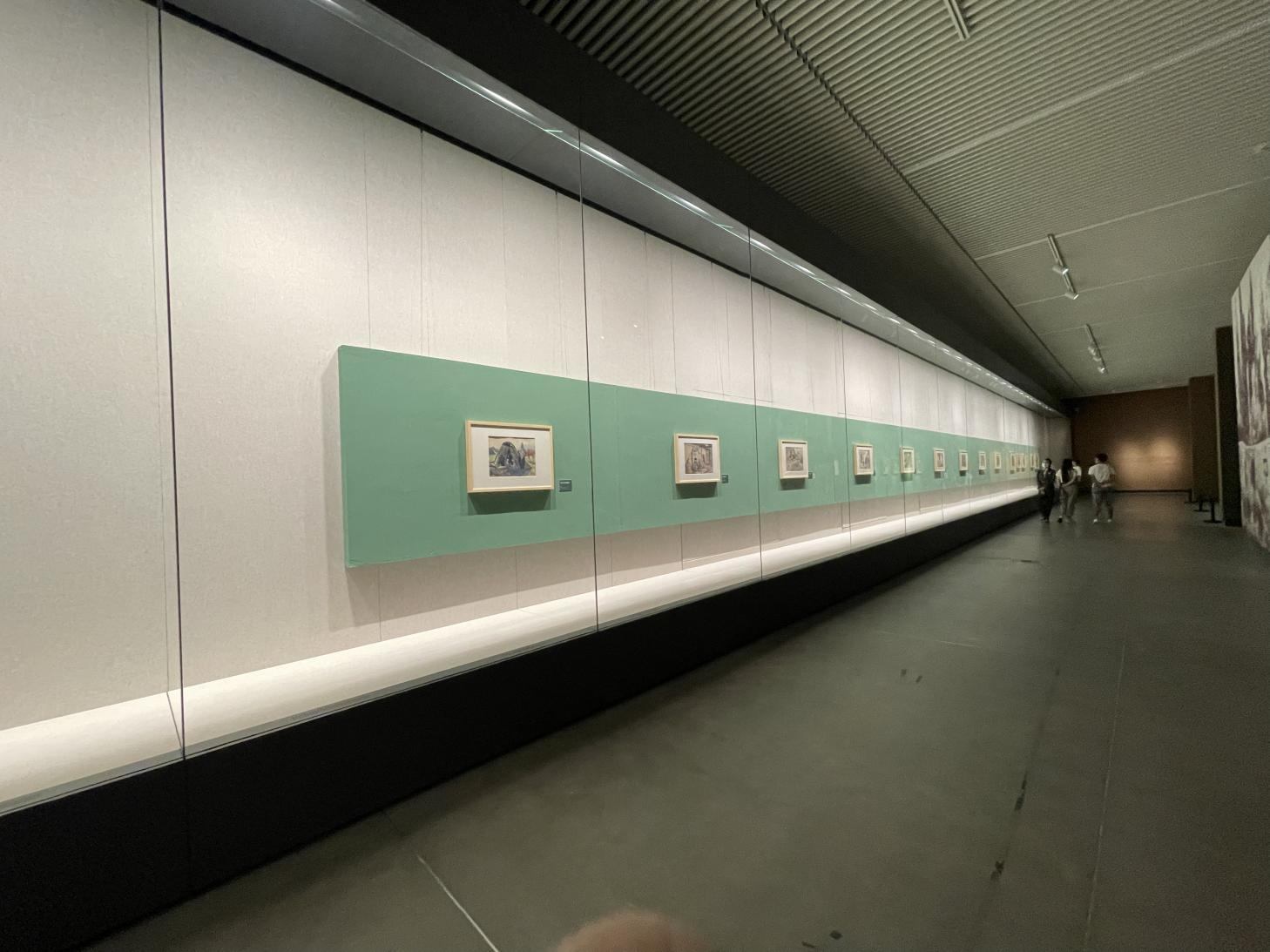Gabinete de pared completo con diseño de escaparate de museo con vista personalizado 4
