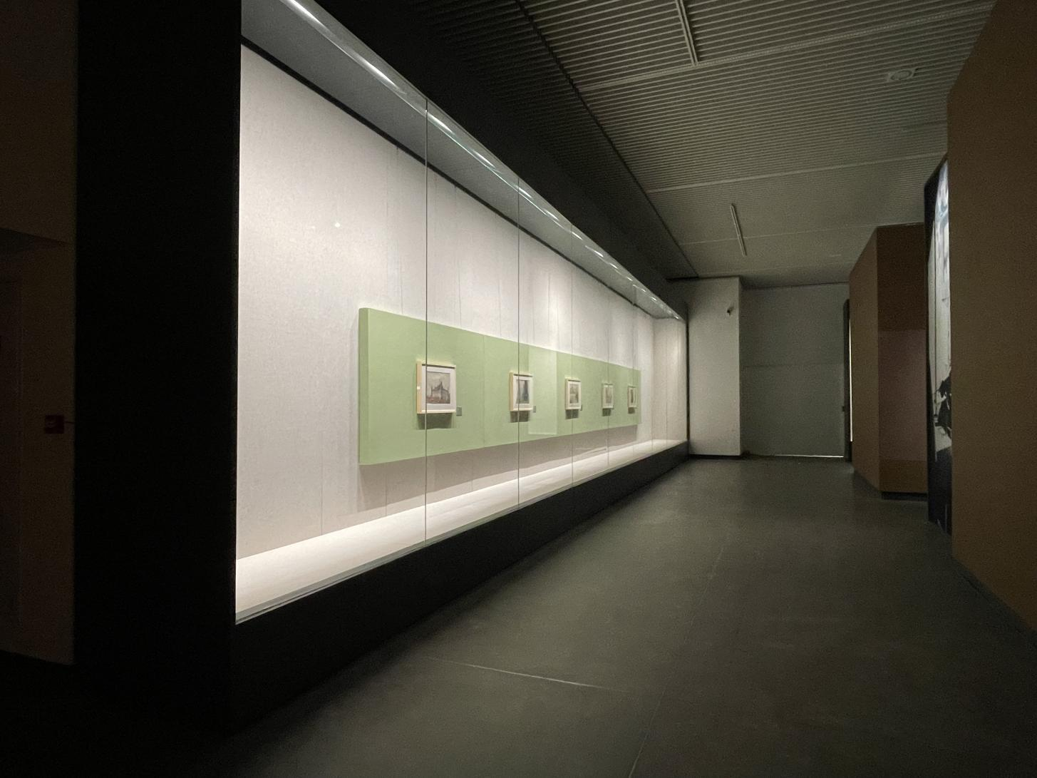 Gabinete de pared completo con diseño de escaparate de museo con vista personalizado 5