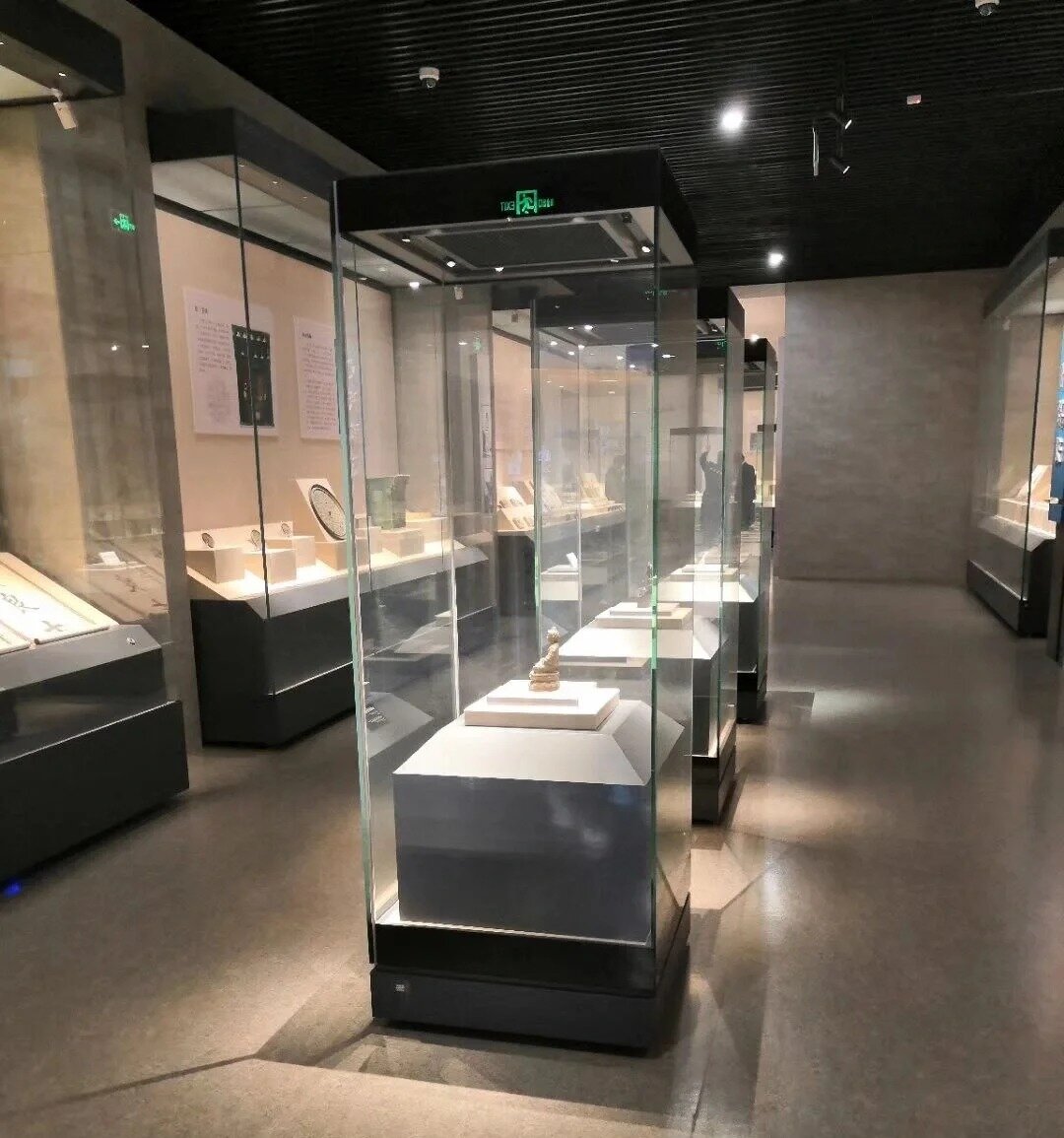 La exhibición alta independiente del museo del escaparate coloca diseño minimalista 3