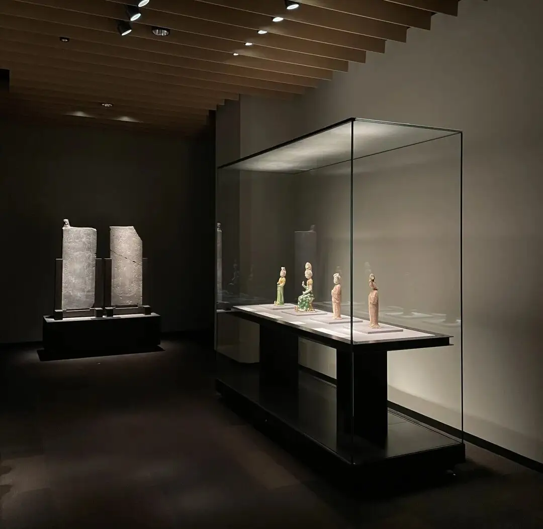 Unveiling History: The Beauty Of Museum Showcases 1