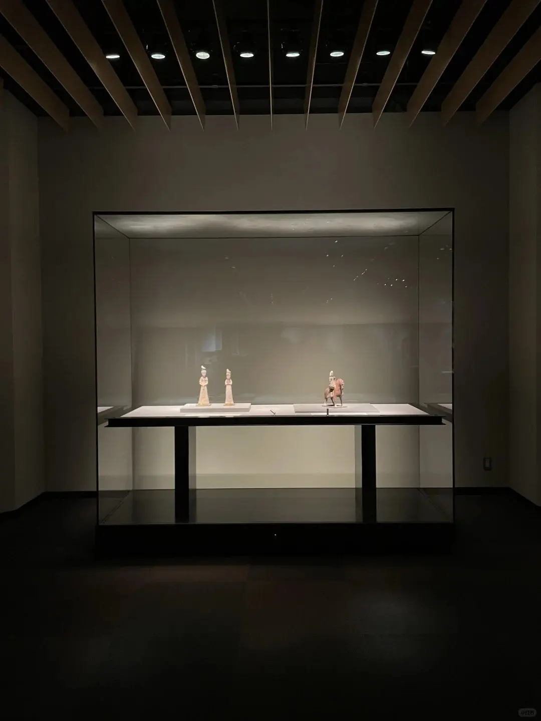 LUXE Showcases Store Display Cases Museum Display ShowcaseSupply 3