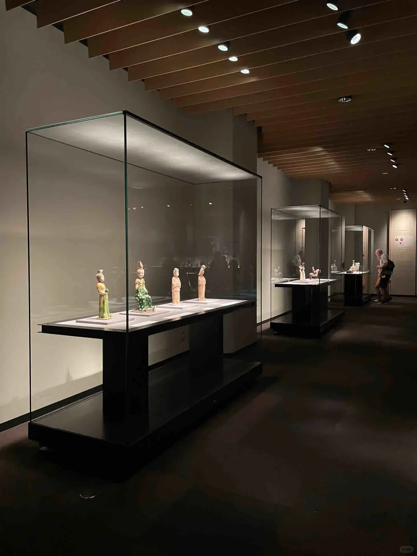LUXE Showcases Store Display Cases Museum Display ShowcaseSupply 2