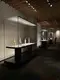 LUXE Showcases Store Display Cases Museum Display ShowcaseSupply 2