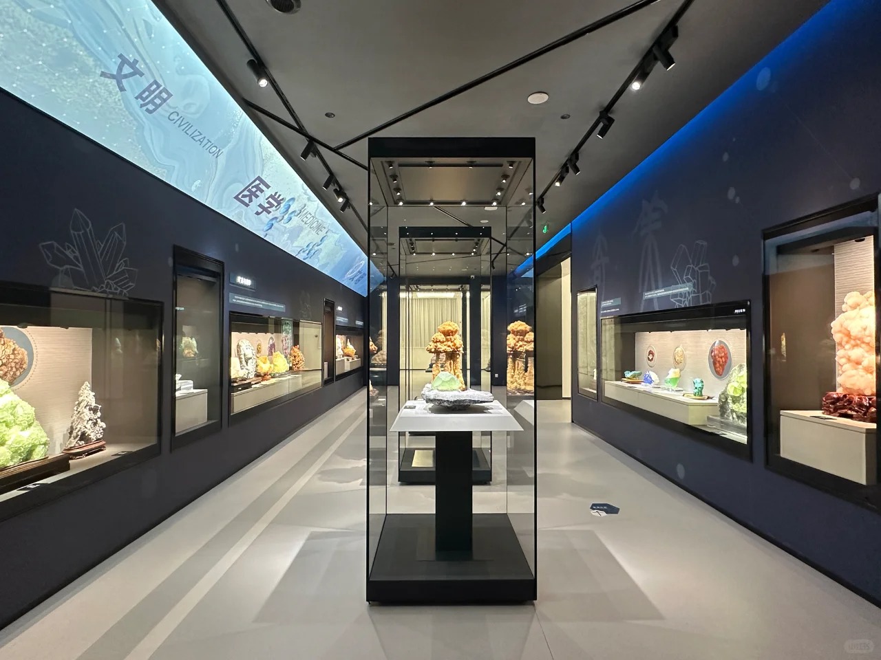 Vitrina alta independiente de vidrio de primera calidad con diseño de escaparate de museo de alta gama 2
