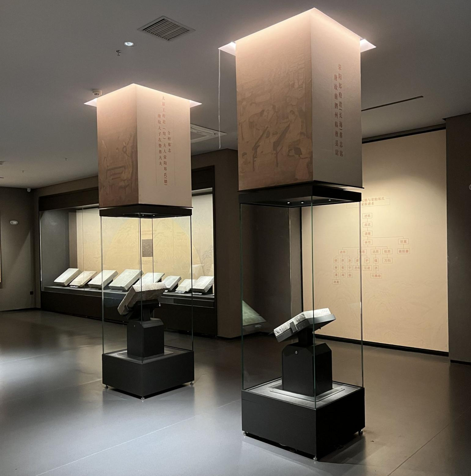 Vitrinas de vidrio de calidad de museo Fabricante de vitrinas de alta calidad 1