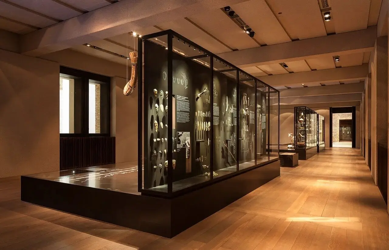 Aluminium Glass Showcase Maker Custom Museum Display Cases 4