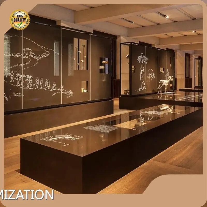 Aluminium Glass Showcase Maker Custom Museum Display Cases 1