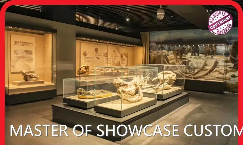 Retail Store Display Cabinets R&D Designer-lighting Designer-soft Fitting Designer and Display Designer) Professional Custom Museum Displaysbest Supplier 1