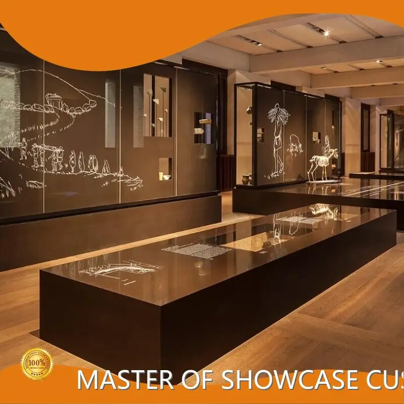 Custom Made Glass Display Cases Baked Paint Multilayer Board Wholesale - LUXE Showcases 1